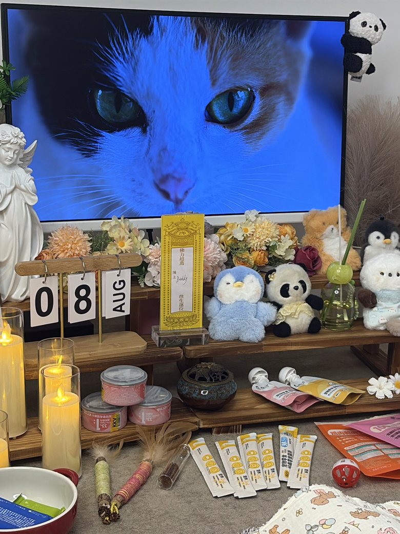 贵阳宠物殡葬门店告别厅环境